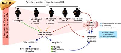 Bariatric endoscopic-surgical therapies for NAFLD. Should they be considered viable options among current treatments?